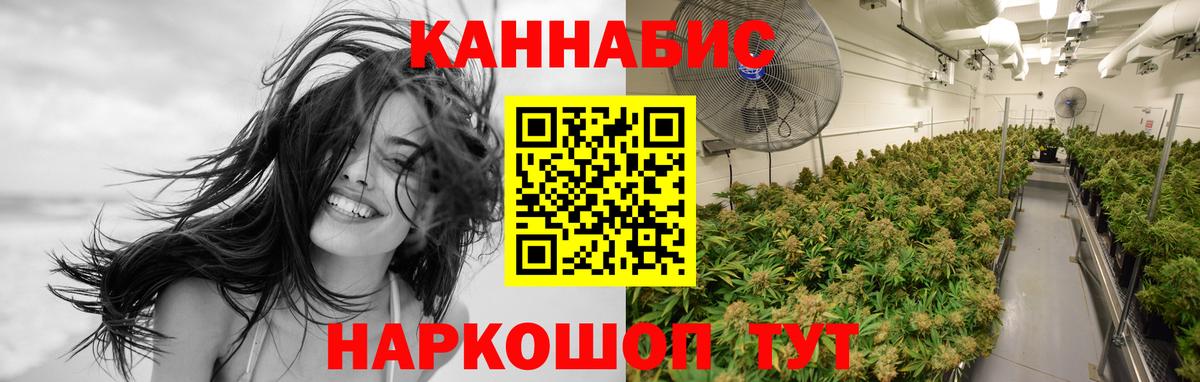 Марихуана сатива Ноябрьск